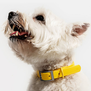 Wasserdichtes, PVC-beschichtetes, verstellbares Hunde halsband im taktischen Stil mit individuellem Logo Nature Safe für Hunde und Katzen - Product Image 4