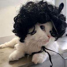 Maicol Puppy Porky Hair Ware Cute Puppy-Theme Hair <b>Ornament</b> for <b>Dogs</b> - Product Image 1