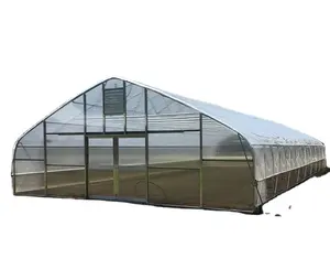 kostengünstiger kunststoffschuppen einzelspannweite kommerzielle erdbeer-gewächshäuser kunststofffolie tunnel-gewächshaus für landwirtschaft tomaten