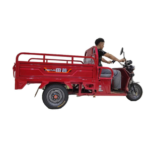 Tricycle <span class=keywords><strong>Tricar</strong></span> électrique de livraison 2022 neuf à vendre - Product Image 1