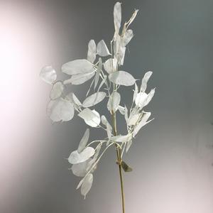 Vente en gros Décoration nordique moderne pour la maison <span class=keywords><strong>Lunaria</strong></span> artificielle à feuilles blanches Plante annuelle argentée pour mariage et Noël - Product Image 3