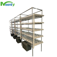 Serres agricoles Système hydroponique Conteneur Fermes verticales Agriculture Système hydroponique NFT pour laitue/Verts