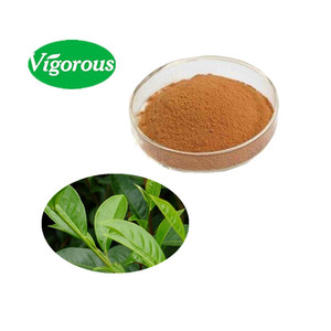 Tinh khiết tự nhiên cung cấp trà polyphenol ngay lập tức Oolong chiết xuất trà bột cho uống - Product Image 1