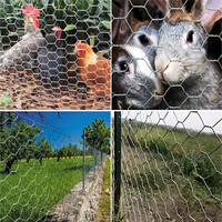 Grillage hexagonal en fer galvanisé certifié ISO9001 pour cages à poulets, enclos et clôtures, pliage personnalisé