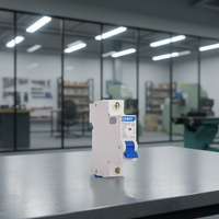 Disjoncteur miniature Chint NXB-63 1P C10 C16 C20 C25 C32 MCB 6kA 50/60Hz à montage enfichable en plastique pour usage industriel