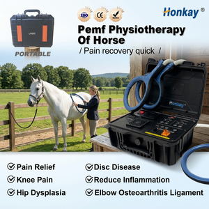 High Quality Pets Pemf Magnetic Therapy Device Stimulate Muscles Improve Blood Circulation Horse use Pemf Device - Product Image 1