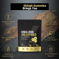 Gummies de Shilajit Marque Blanche OEM, 60 Compléments Alimentaires pour l'Entraînement, Lot en Gros pour la Vente en Gros