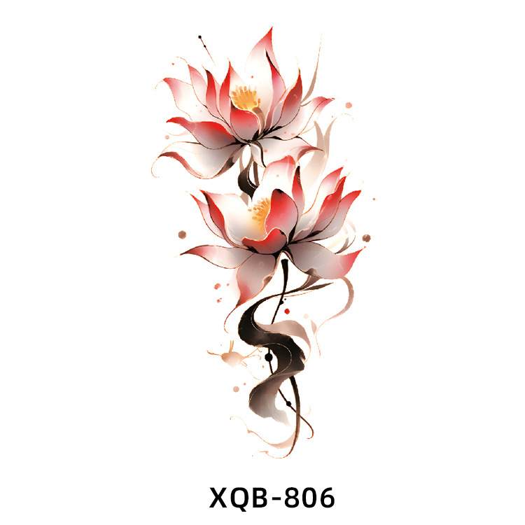 XQ806