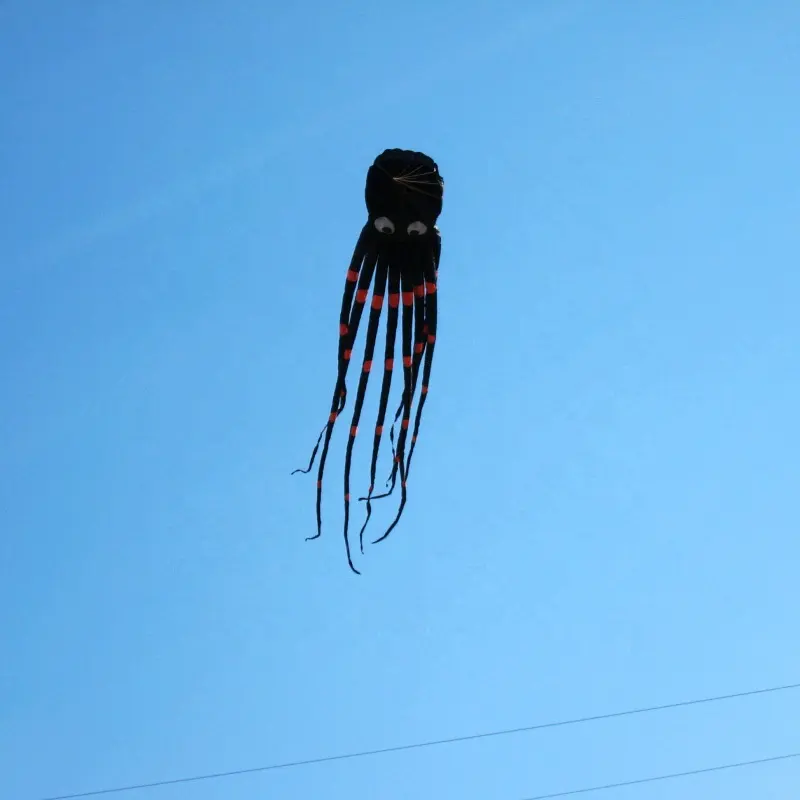300 Inches ( 9M ) Giant Octopus Paul Parafoil Kite Black with Handle & String, Beach Park Outdoor Fun