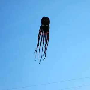 300 pollici (9M) Giant Octopus Paul Parafoil Kite nero con manico e corda, Beach Park divertimento all'aperto