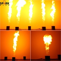 Machine lance-flammes SP 100W, contrôle DMX, machine à jet de feu, tête simple, machine à flammes pour scène disco DJ