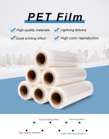 Dtf película de transferencia de papel para mascotas A3 A4 A3 + hoja camiseta Transferencia de Calor película DTF para Epson L1800 R1390 R805 Dtf impresora de inyección de tinta Digital