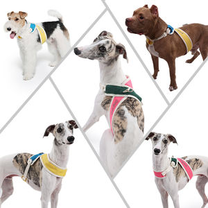 豪華な調節可能な犬用ハーネスヘビーデューティポリエステルメッシュ生地小型ペットXハーネス革新的なXデザインファッショナブル - Product Image 3