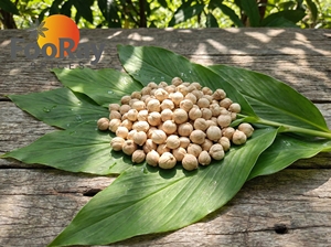 Cardamomo Seco de Siam, Racimo de Cardamomo Redondo Más Vendido para el Mercado de Oriente Medio, Saborizante para Café y Condimento para Guisos de Carne - Product Image 5