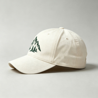 Gorra de Béisbol Personalizada OEM ODM, de Algodón Lavado Sólido, con Bordado 3D de Montaña, Visera Curva, Logotipo Personalizado, Ajustable, para Exteriores
