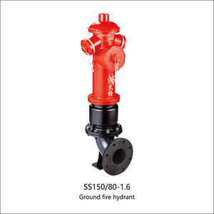 Premium-Qualität Duktiles Gusseisen Außen-Feuerlöschhydrant PN16 Druckklassifizierung Doppelauslass Hohe Durchflusskapazität für Kommunale Brandbekämpfung - Product Image 3