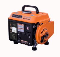 CE et GS petit Portable électrique monophasé 2 temps 650W Mini générateur essence pour la maison