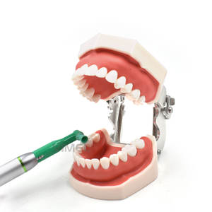 Pieza de mano de pulido <span class=keywords><strong>Dental</strong></span> 4:1 Pulidor de dientes efectivo Tipo E Pieza de mano profiláctica <span class=keywords><strong>Dental</strong></span> recta de baja velocidad - Product Image 3