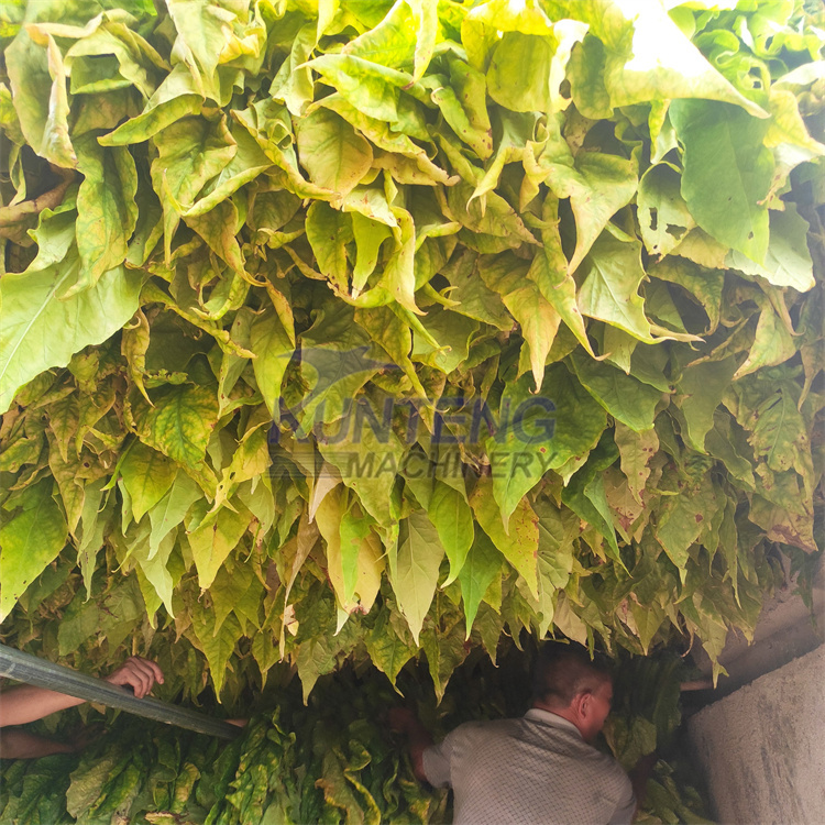 Automatic Tobacco Hemp Dryer Oven Drying