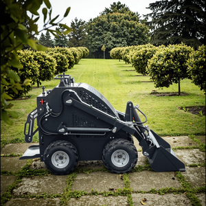 <span class=keywords><strong>Mini</strong></span>-chargeuse compacte diesel Euro 5 pour l'agriculture, garantissant une efficacité de travail optimale - Product Image 5