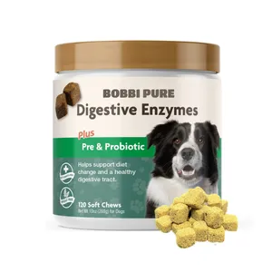 OEM/ODM probiotiques naturels à mâcher pour la santé intestinale et les allergies saisonnières Fournisseurs de collations et de friandises pour chiens Aliments et compléments pour animaux domestiques