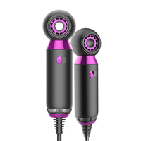 Sèche-cheveux ionique professionnel avec buse concentratrice 800W, format voyage pour usage extérieur et hôtelier