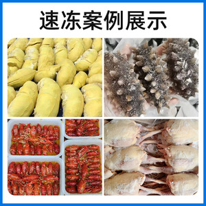 Delingshi YDG-7P Liquid Nitrogen Quick Freezer Small Blast Cabinet for Seafood Dumplings - Product Image 4
