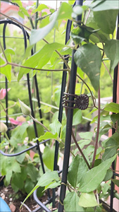 Piquets de soutien pour plantes avec tiges courbables, pinces pour orchidées, favorisent la croissance des fleurs d'intérieur et d'extérieur, des roses - Product Image 2