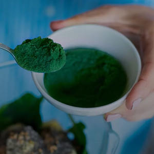 <span class=keywords><strong>De</strong></span> notre étang à votre processus : Spiruline <span class=keywords><strong>de</strong></span> qualité supérieure, cultivée et transformée avec soin - Product Image 4