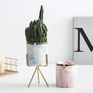 Keramische Succulente Planter Creatieve Porselein Mini Bloempot Met Goud Black Metal Stand Voor Home Decor