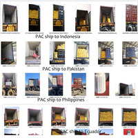 Traitement de l'eau polyaluminium chlorure PAC poudre 28% 29% 30% efficace traitement de l'eau produits chimiques inorganique floculant coagulant