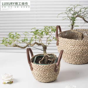Seaweed Rope Woven <b>Basket</b> With Leather Handles Home Decor Storage <b>Basket</b> <b>For</b> <b>Plants</b> And Fruits - Product Image 5