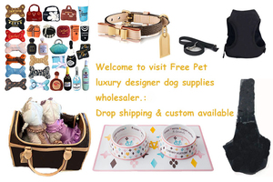 Luxury Designer Pet Carrier <strong>for</strong> <strong>Small</strong> Pets <strong>Dog</strong> Tote Classic Leather <strong>Dog</strong> <strong>Carry</strong> <strong>Bag</strong> Fashionable Cat Carrier <strong>Bag</strong> - Product Image 6
