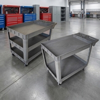Chariot utilitaire moderne en plastique robuste à double capacité de 550 lb, avec roulettes flexibles et étagères multi-niveaux pour entrepôt et garage