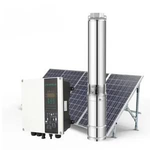 Système d'arrosage automatique Pompe de puits profond solaire 3 pouces DC Pompe à eau submersible solaire d'irrigation auto-amorçante