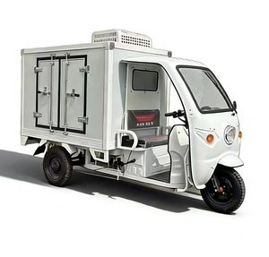 Triciclo Refrigerado CLW, Vehículo de Tres Ruedas para Transporte Refrigerado, Triciclo Eléctrico con Caja de Carga Grande - Product Image 1