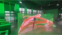 Nouveau produit plus de 70% d'affichage mené d'intérieur transparent de P3.9-7.8 vidéo clair