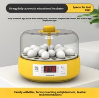 Incubadora de Huevos Inteligente Automática para el Hogar, Caja de Incubación con Cama de Agua para Huevos de Codorniz, Pollitos y Loros