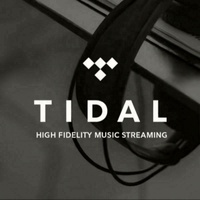 Abonnement Tidal Premium Tidal Music 12 mois, comptes Tidal, abonnement Tidal Hifi Plus 1 an