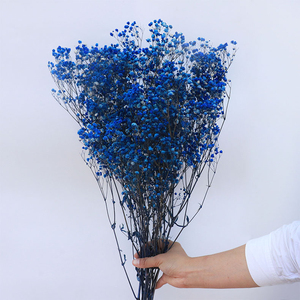 Flor de Gypsophila Natural Preservada de Larga Duración para Decoración - Product Image 4