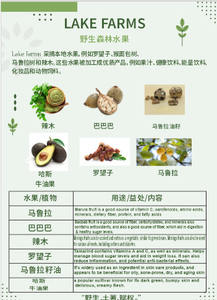 Semillas de Baobab de Zambia, Puras y Naturales, de Alta Calidad, Dytech Limited, 1 Año de Vida Útil, para Prensado de Aceite y Cultivo de Árboles - Product Image 6