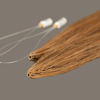 Extensions de cheveux H6 Feather, 100% cheveux humains vierges, nœuds fins invisibles, réutilisables, doux, haute qualité, extensions de cheveux à pointes H pour salon