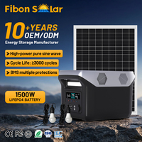 Générateur solaire mobile 110 V 220 V pour le camping en plein air, batterie LiFePO4, station d'alimentation portable 1000 W, vente en gros