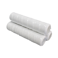 Cartouche filtrante à enroulement de fil de remplacement de taille standard 10 pouces pour la prétraitement de l'eau, élimination des sédiments et des particules