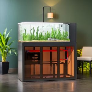 Stile industriale Open View Aquascape acquario lato Overflow serbatoio filtro a bassa manutenzione <span class=keywords><strong>fiume</strong></span> flusso ecosistema per i <span class=keywords><strong>pesci</strong></span> - Product Image 6