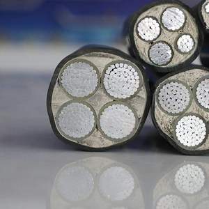 Cable de Aluminio, 4 mm, 2/3/4 Núcleos, 600/1000 V, 10 mm, Aislamiento XLPE/PE, Cable Trenzado para Alumbrado Público - Product Image 2