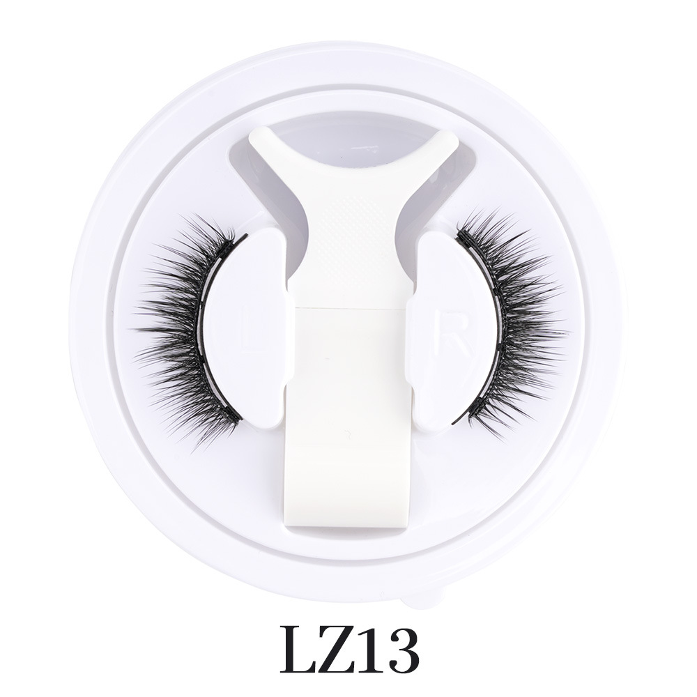 LZ13