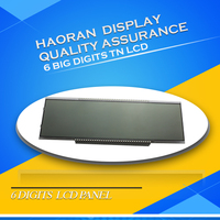 Kraftstoffspender TN LCD-Display Angepasstes 7-Segment 6-Stelliges LCD-Panel HAORAN HD014A