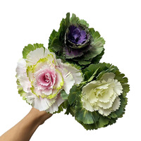 DREA Brassica Artificiel Ornemental Chou Tige Olive Chou Faux Fleurs Décoration