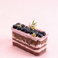 Conteneur en PS transparent en gros pour tiramisu, boîte à tiramisu pour mousse, gâteau et pain, stockage alimentaire, présentoir à gâteaux